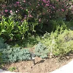 Beachfront House With Garden And Two Terraces Casa vacanze
