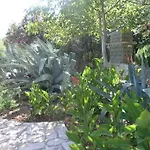 Beachfront House With Garden And Two Terraces