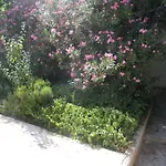 Casa vacanze Beachfront House With Garden And Two Terraces Tisno