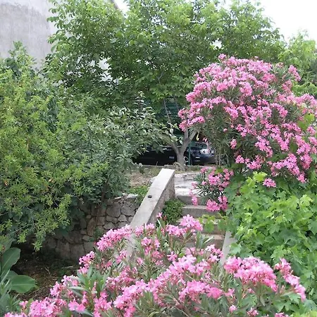 Beachfront House With Garden And Two Terraces 度假居