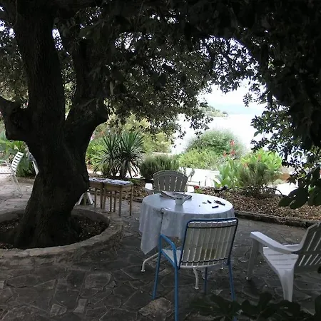 Beachfront House With Garden And Two Terraces * Tisno