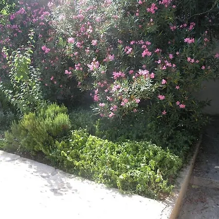 Holiday home Beachfront House With Garden And Two Terraces Tisno
