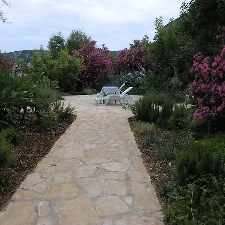 Beachfront House With Garden And Two Terraces Holiday home *