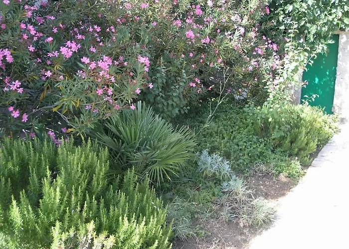 Beachfront House With Garden And Two Terraces Tisno