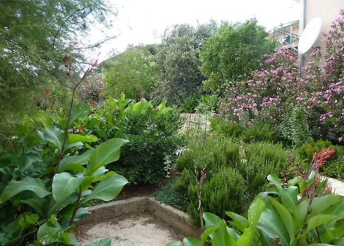 Beachfront House With Garden And Two Terraces