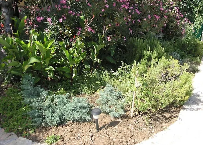 Beachfront House With Garden And Two Terraces Holiday home