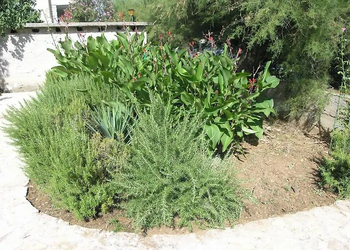 Casa de Férias Beachfront House With Garden And Two Terraces